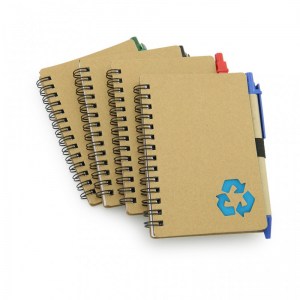 Agenda Ecológica No13